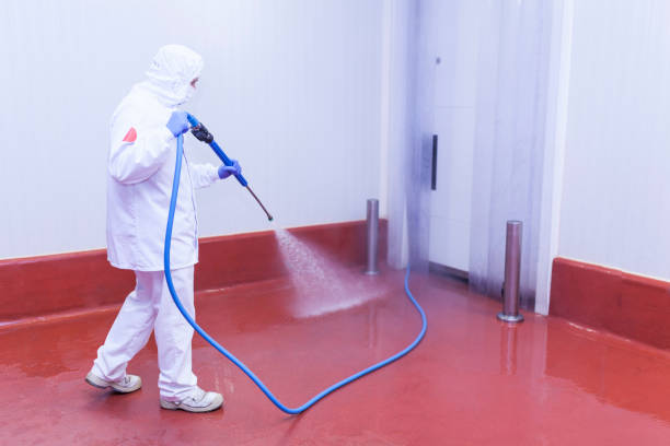 Paint Preparation in Bridgehampton, NY